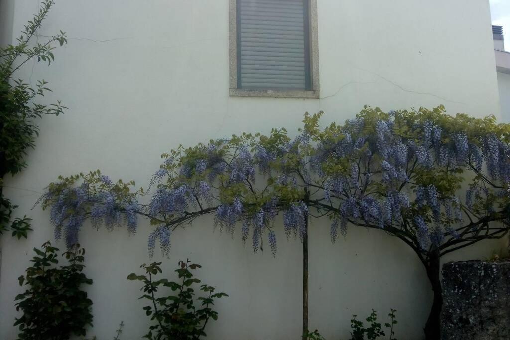 Apartmán Casa Da Oliveira Milhão Exteriér fotografie
